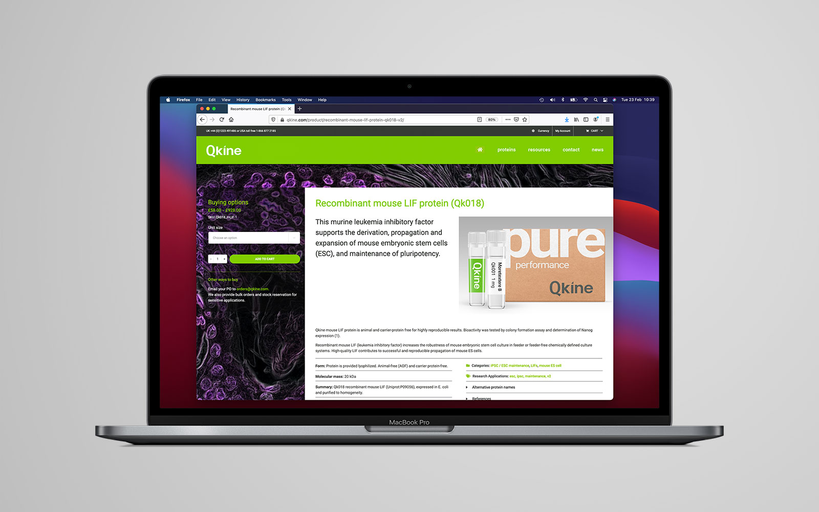 Qkine biotech web design